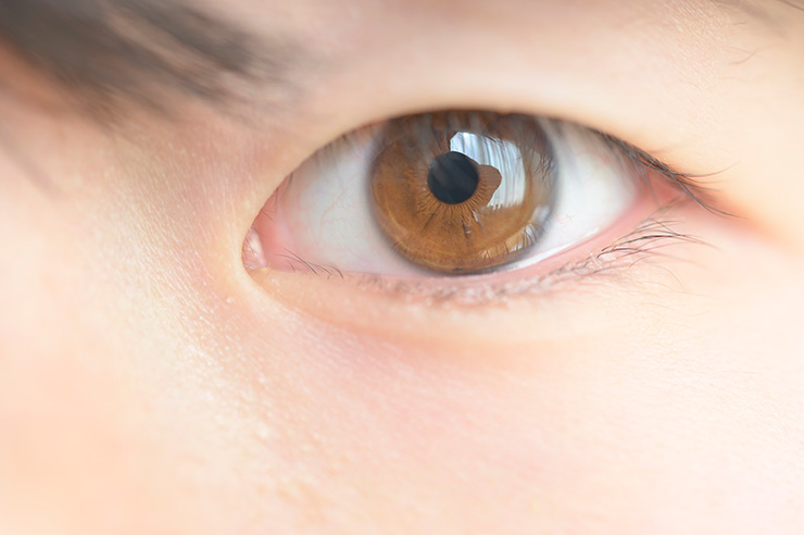 網膜・硝子体の日帰り手術に対応